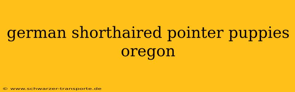german shorthaired pointer puppies oregon