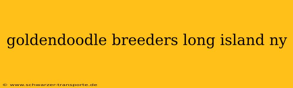 goldendoodle breeders long island ny
