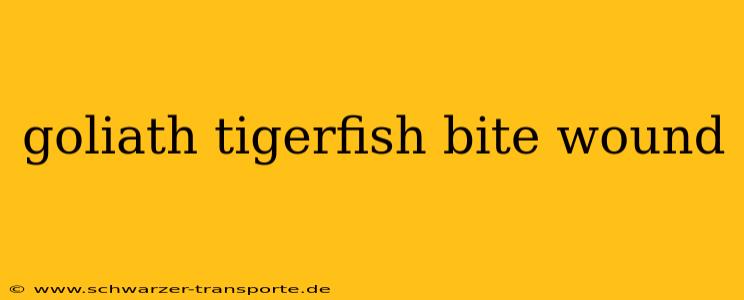 goliath tigerfish bite wound