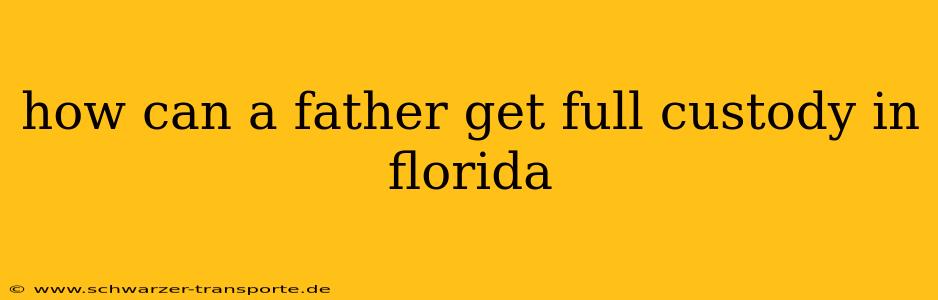 how can a father get full custody in florida