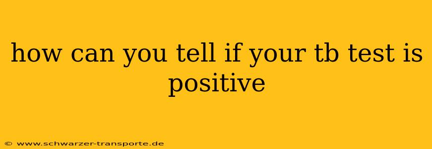 how can you tell if your tb test is positive