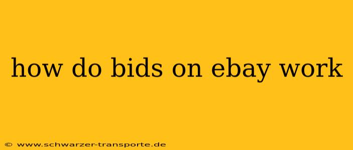 how do bids on ebay work