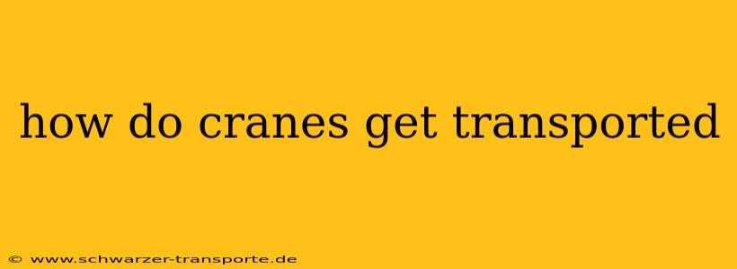 how do cranes get transported