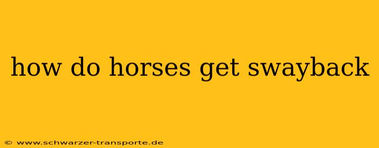 how do horses get swayback