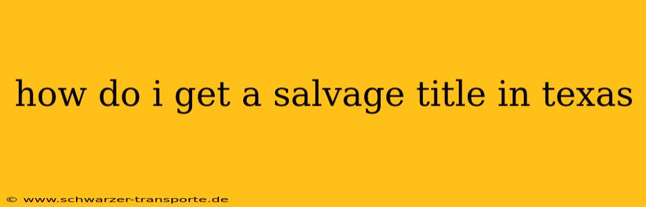 how do i get a salvage title in texas