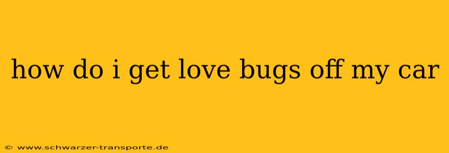 how do i get love bugs off my car