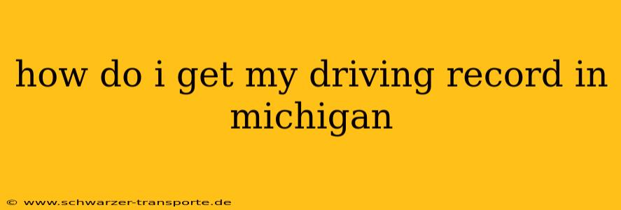 how do i get my driving record in michigan