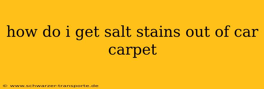 how do i get salt stains out of car carpet