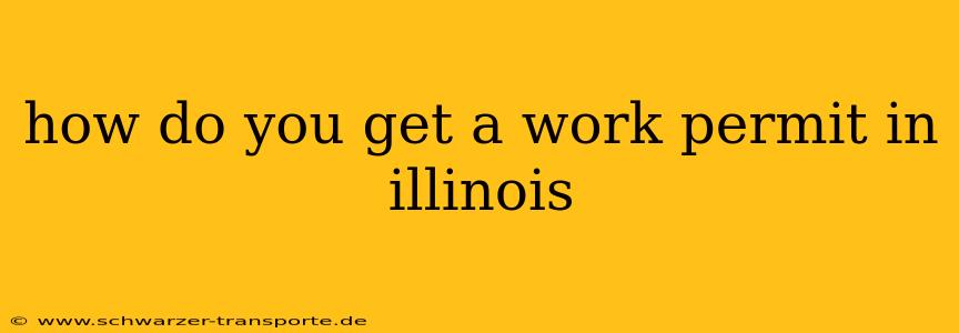 how do you get a work permit in illinois
