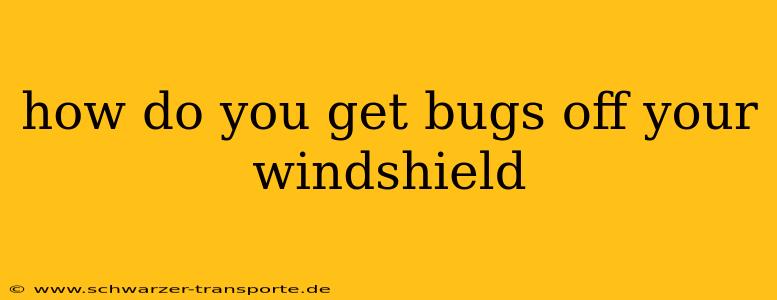 how do you get bugs off your windshield