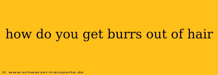how do you get burrs out of hair