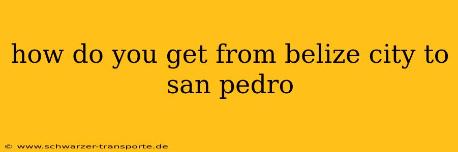 how do you get from belize city to san pedro
