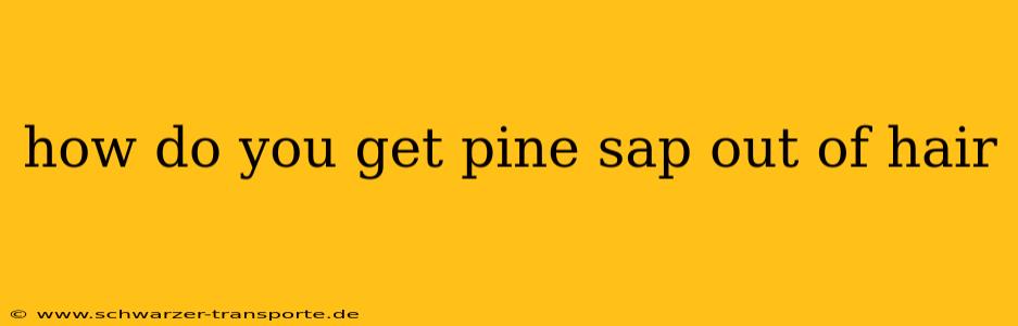 how do you get pine sap out of hair