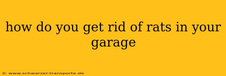 how do you get rid of rats in your garage