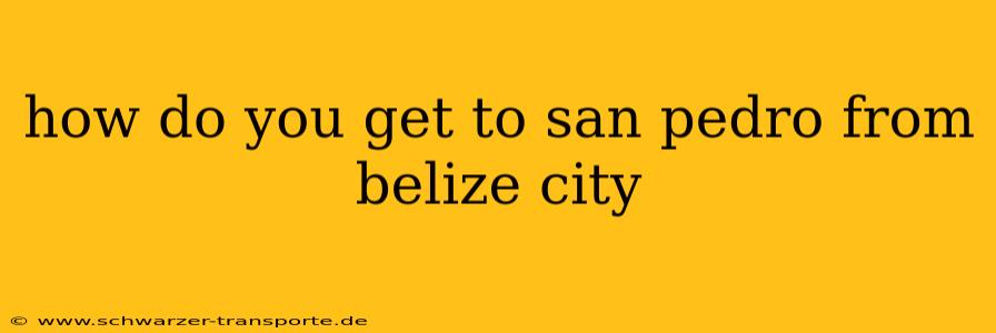 how do you get to san pedro from belize city
