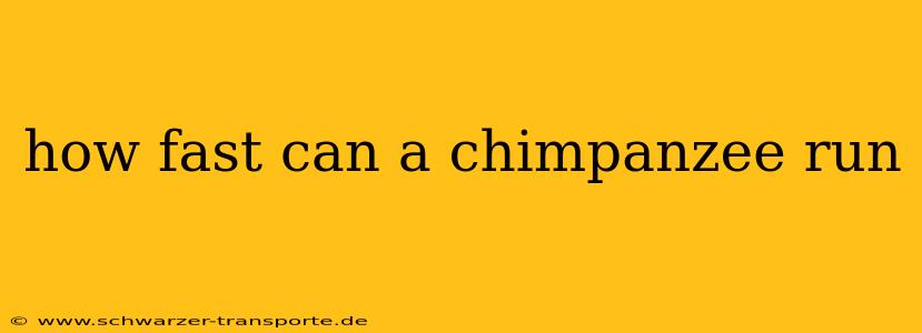 how fast can a chimpanzee run