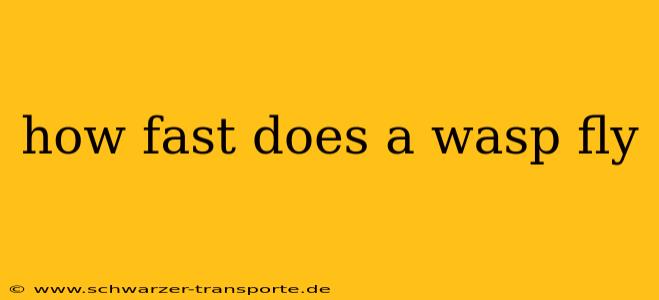 how fast does a wasp fly
