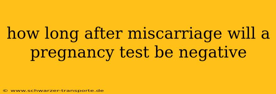 how long after miscarriage will a pregnancy test be negative
