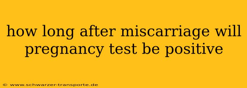 how long after miscarriage will pregnancy test be positive