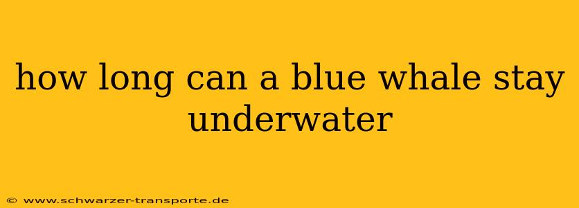 how long can a blue whale stay underwater