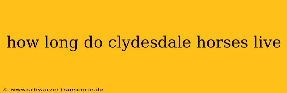 how long do clydesdale horses live