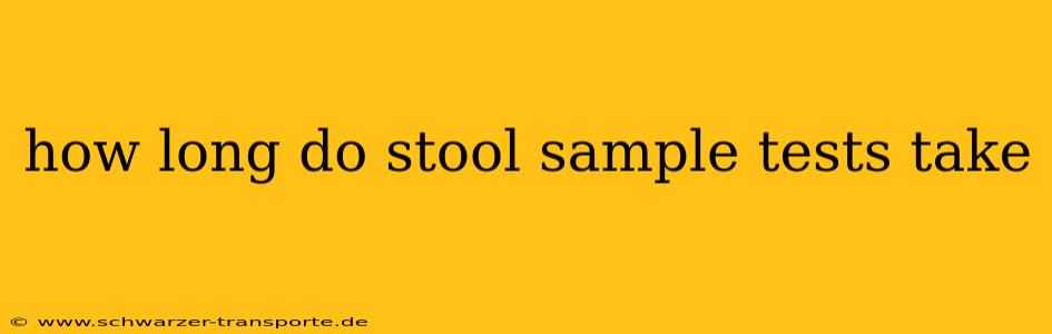 how long do stool sample tests take