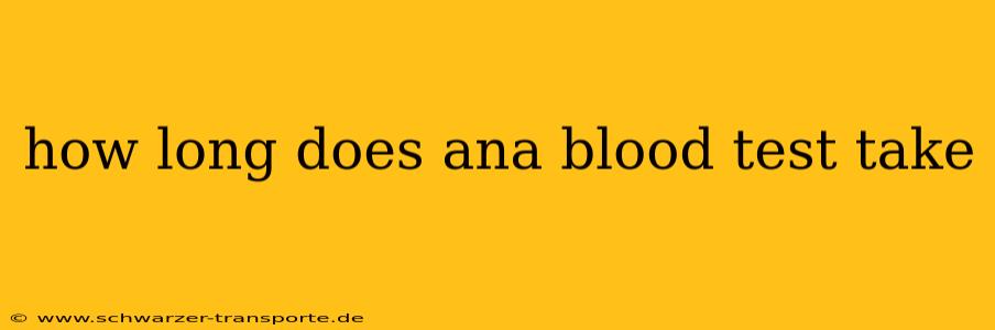 how long does ana blood test take