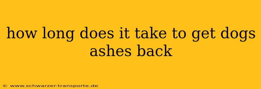 how long does it take to get dogs ashes back