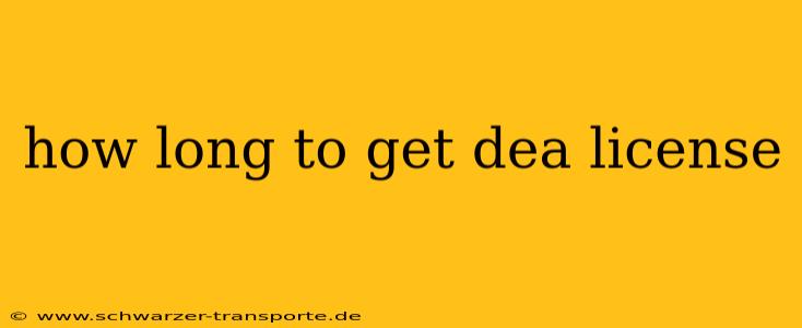 how long to get dea license