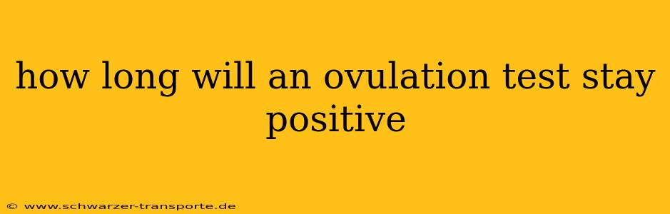 how long will an ovulation test stay positive