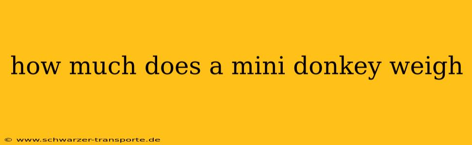 how much does a mini donkey weigh
