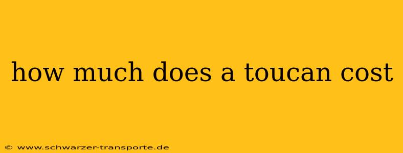 how much does a toucan cost