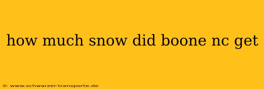 how much snow did boone nc get