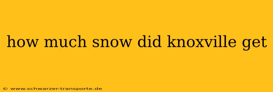 how much snow did knoxville get