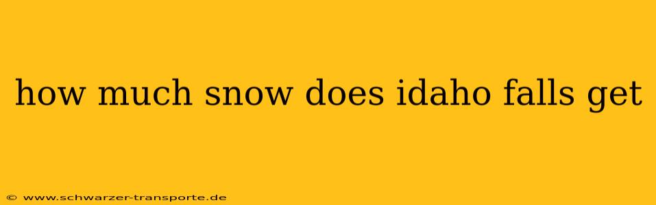how much snow does idaho falls get