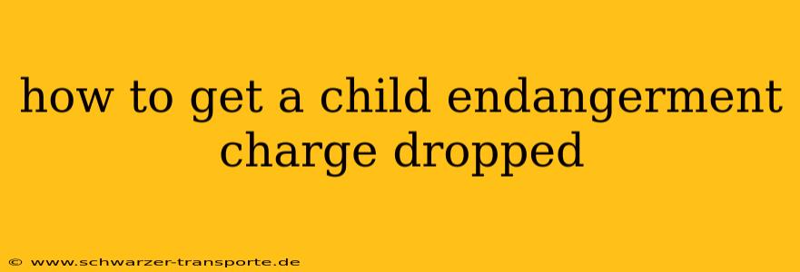 how to get a child endangerment charge dropped