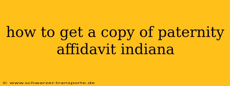 how to get a copy of paternity affidavit indiana