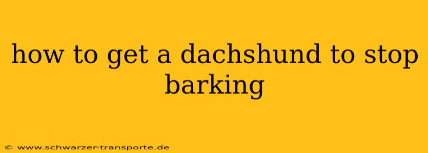 how to get a dachshund to stop barking