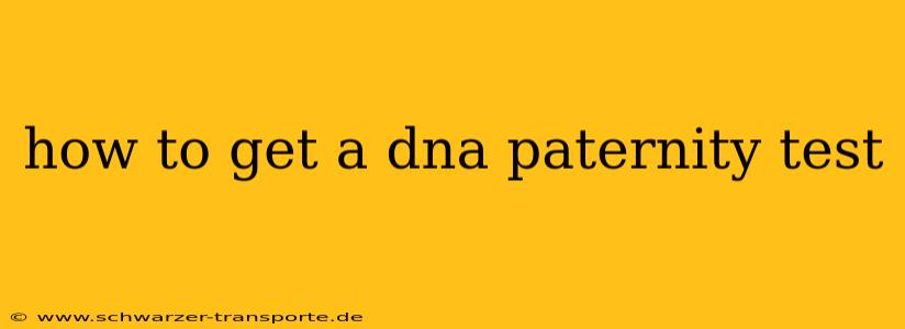 how to get a dna paternity test