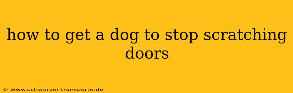 how to get a dog to stop scratching doors
