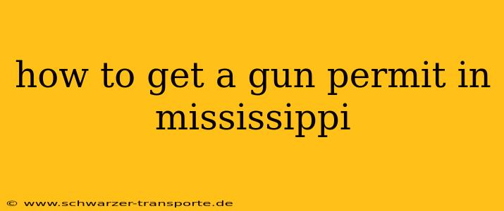 how to get a gun permit in mississippi