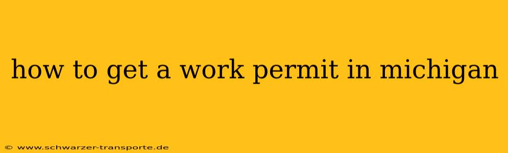 how to get a work permit in michigan