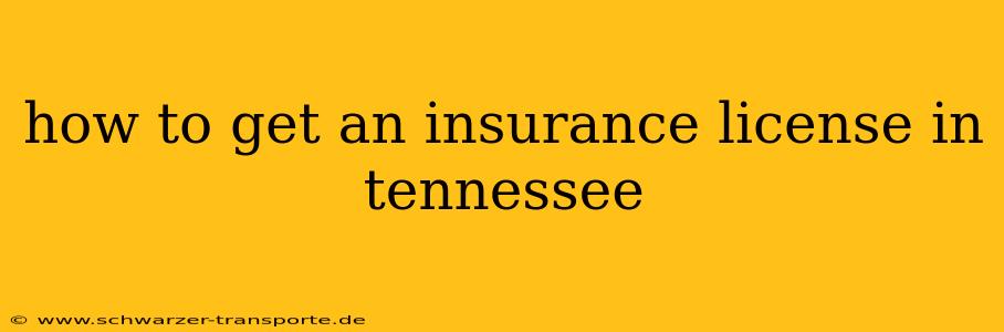 how to get an insurance license in tennessee