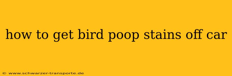 how to get bird poop stains off car