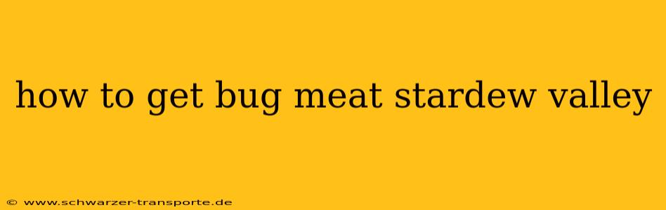 how to get bug meat stardew valley
