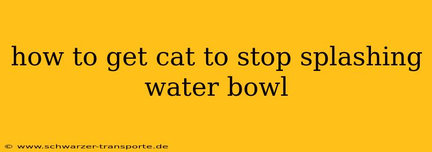 how to get cat to stop splashing water bowl