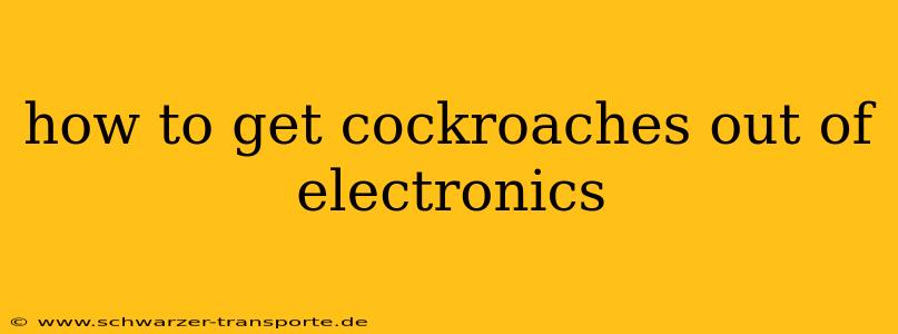 how to get cockroaches out of electronics
