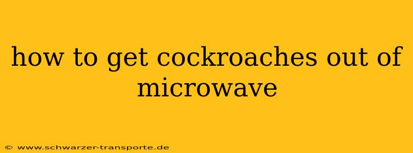 how to get cockroaches out of microwave