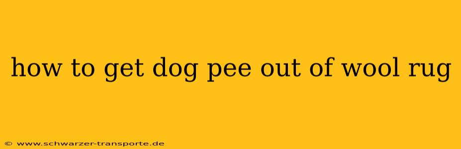 how to get dog pee out of wool rug