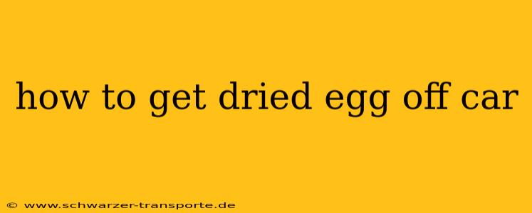 how to get dried egg off car
